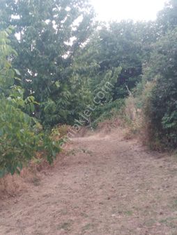 İzmir Ödemiş – Satılık Tarla