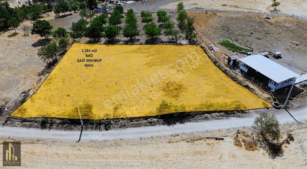 //boğaziçi Emlak//gazi Mahbup Mah.2.565 M2 Bağ //