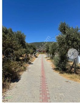 Torbalı Çakırbeyli'de Satılık Bahçe - Arsa