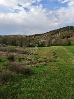 Provos Gayrimenkul, Atlas Köy'de Satılık 4606 M2 Arazi