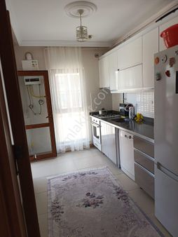 Çöl Güzeli 5 Yıllık Toki'de