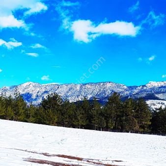 Pozantı Kar Emlaktan Yeni Konacık Kırıntı Mevkinde Site Yapımına Uygun 4500 M2