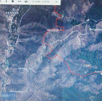 Satılık Tarla Tek Tapu Muğla Milasda 1723 M2
