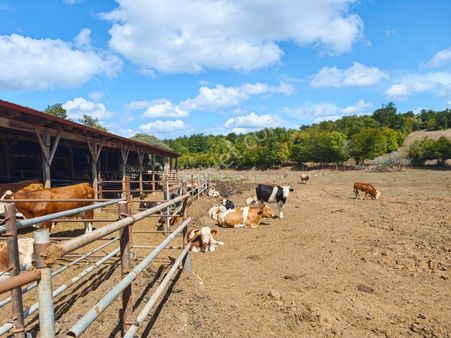 Vize Kıyıköy Yol Üzerinde 19,300 M2 Hazır Kurulu Çiftlik