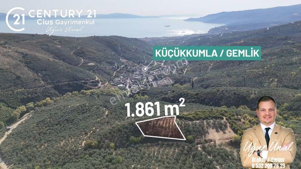 C21cius: Kumla'da Resmi Yola Cephe 1861 M2 Zeytinlik