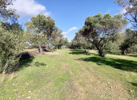 İzmır Foça Gerenköy De Satılık Arsa