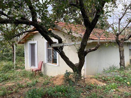 Beykoz Elmalı Kiralık 1+1 Açık Mutfak Aydınlık Tadilattan Geçmiş Daire