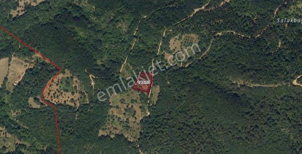 Bursa Osmangazi Kirazlı Köyü Satılık Tarla