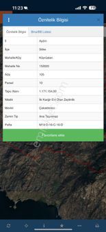 140 Dönüm Zeytinlik