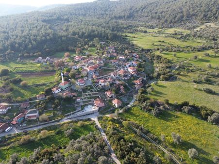 Milas Aslanyaka Mahallesinde 27000 M² Satılık Verimli Çiftlik Arazisi