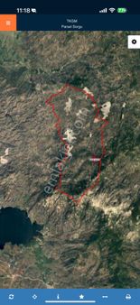 Karakaya Da 7 Dönüm Zeytinlik