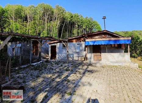 Hak Emlaktan Kaynaşlı Muratbey Köyünde Satılık 45.000m² Bahçe