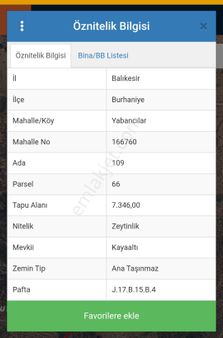 Acilll Acilll Balıkesir Burhaniye Yabancılar Mah. 7400m2 Verimli Satılık Zeytinlik