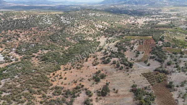 Konya / Bozkır / Hamzalar Mahallesinde 699 M² Müstakil Bağ