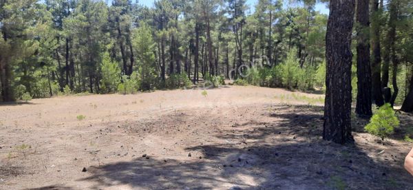 Denizli Acıpayam Olukbaşında Fırsat Tarla