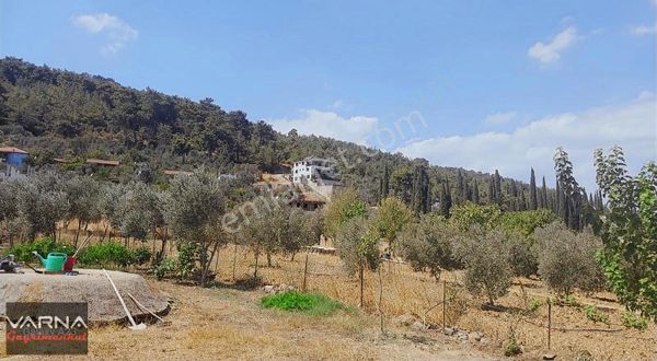 İzmir Menderes Ataköy De 833m2 Tek Tapu Arsa Ve Evi