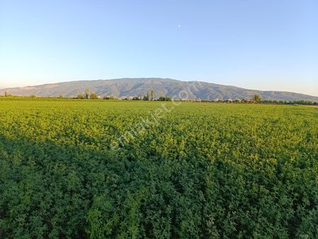 Güzelköyde Satılık Tarla.