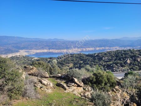 Aydın Çine Satılık Tarla