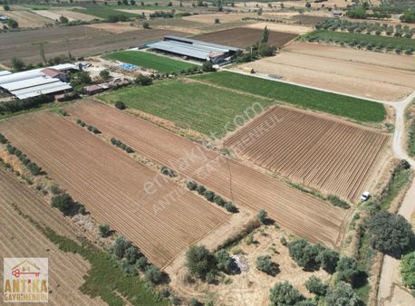 Antika Gayrimenkul'den Kayaköy'de Satılık Fırsat Tarla