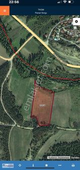 Sakarya Taraklı Yenidoğan'da Satlık Tarla