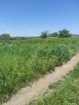 Edirne Uzunköprü Satılık Tarla