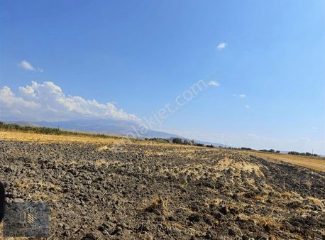 Kadir Şen Gayrimenkul'den Pafta 3 De Satılık Tarla