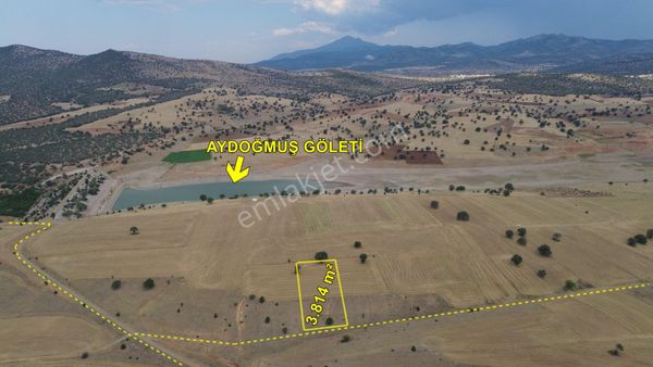 Konya / Güneysınır / Kurukavak 3.814 M² Müstakil Tarla