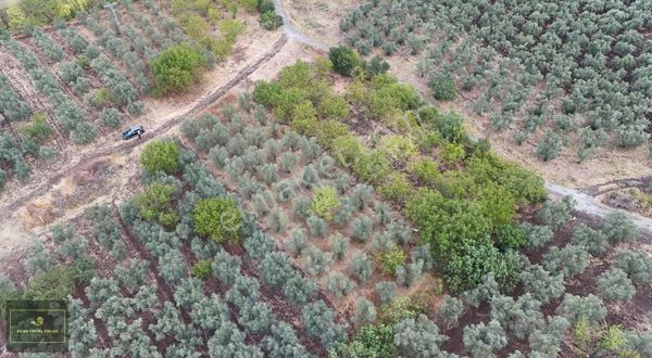 Acar Royal'den Katırlıda Yatırımlık Arsa