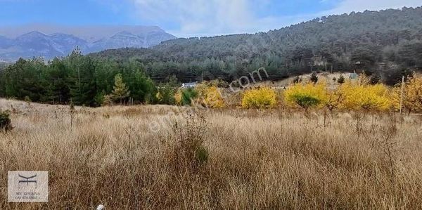 Pozantı Eskikonacık Yaylasında 2016 M2 Tek Tapu Satılık Arsa