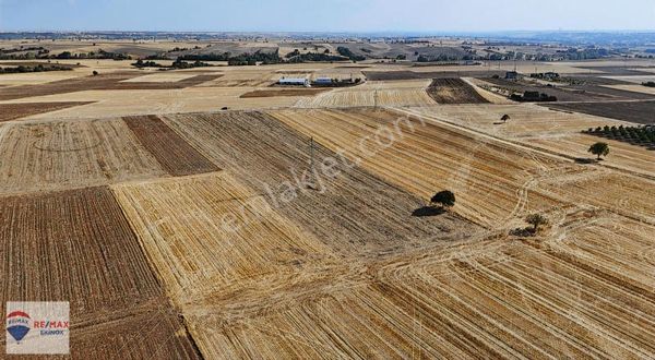 Hamzabey'de Yerleşim Yerine Yakın Satılık 14.500 M2 Arazi