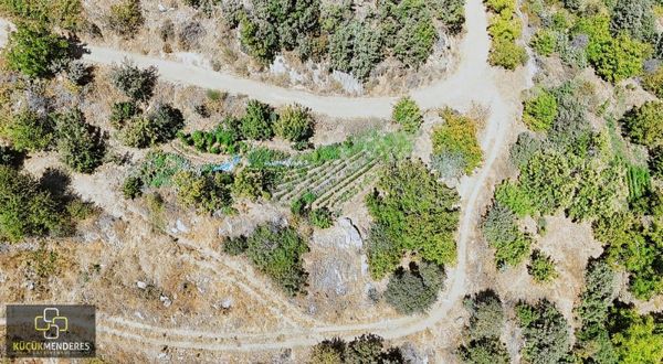 Küçük Menderes'ten Ödemiş Yılanlı Mh. Satılık Kaynak Sulu Bahçe