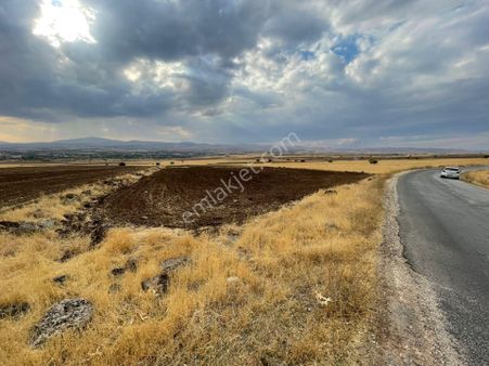 Mevsim Gayrimenkul Şahinkaya Asfalta Sıfır Satılık Toplu Tarla