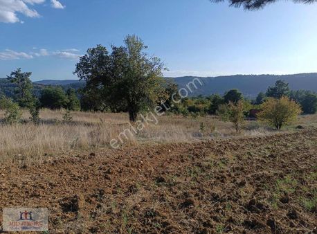 Bursa Keles 'de Meyve Bahçelerinin Yoğun Olduğu Bölgede