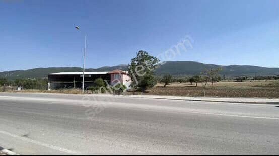 Satılık Yatırımlık Tarla – Avdan Yolu Üzerinde | Kuzey Emlak'tan