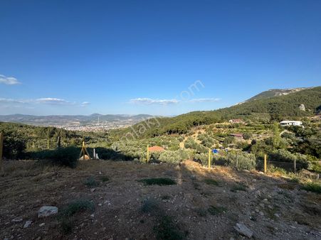 Satılık Tarla – Darkale Köyü | Kuzey Emlak'tan