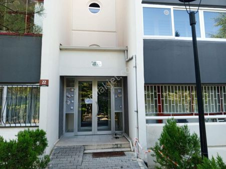 Yardımcı Blokları 17703 Ada Tek Emlaktan Kiralık 1+ 1 Daire