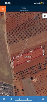 Oğuzelinde Tek Tapu 3824 Metre Mahsüllü Kızmızı Kepir Topraklı Bağ