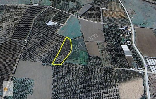 The World Seller'den Göl Manzaralı Müthiş Tarla