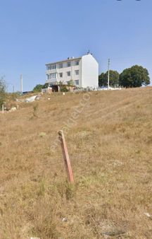 Saray Büyükyoncalı