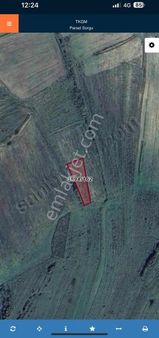 Şile Bucaklı'da Nevi Gayrimenkulden Tarla