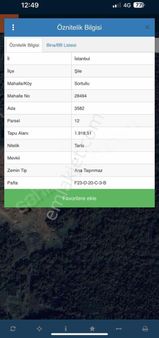 Nevi Gayrimenkul'den