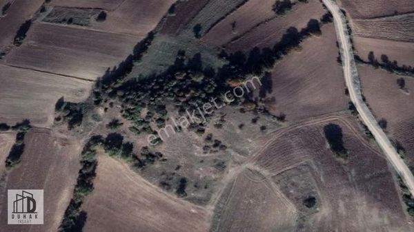 Balıkesir Altıeylül Akçaköyde Satılık Hali Arazi 3400 M2