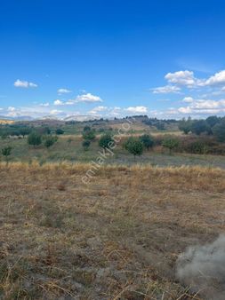 Bilecik Merkeze Bagli