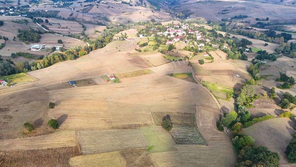 Müstakil Tapulu 853 M2 Atakum Sarıtaşta Tarla