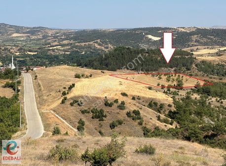 Kızıldamlarda 7.890 M2 Satılık Resmi Yollu Arazi