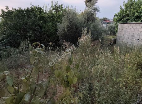 Fırsat Satılık 2 Katlı Müstakil Ev Ve 200 M2 Arsa