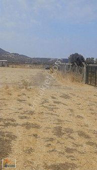 Evim Emlaktan Mükemmel Konumda Tarla