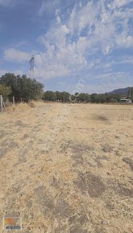 Evim Emlaktan Çok İyi Konumda Tek Tapu Tarla