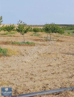 Turyap Metropol'den Ambarcık'ta Satılık Bahçe