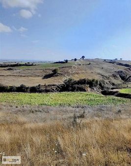 Çerkezköy Saray Çukuryurt'ta Satılık 8780 M²